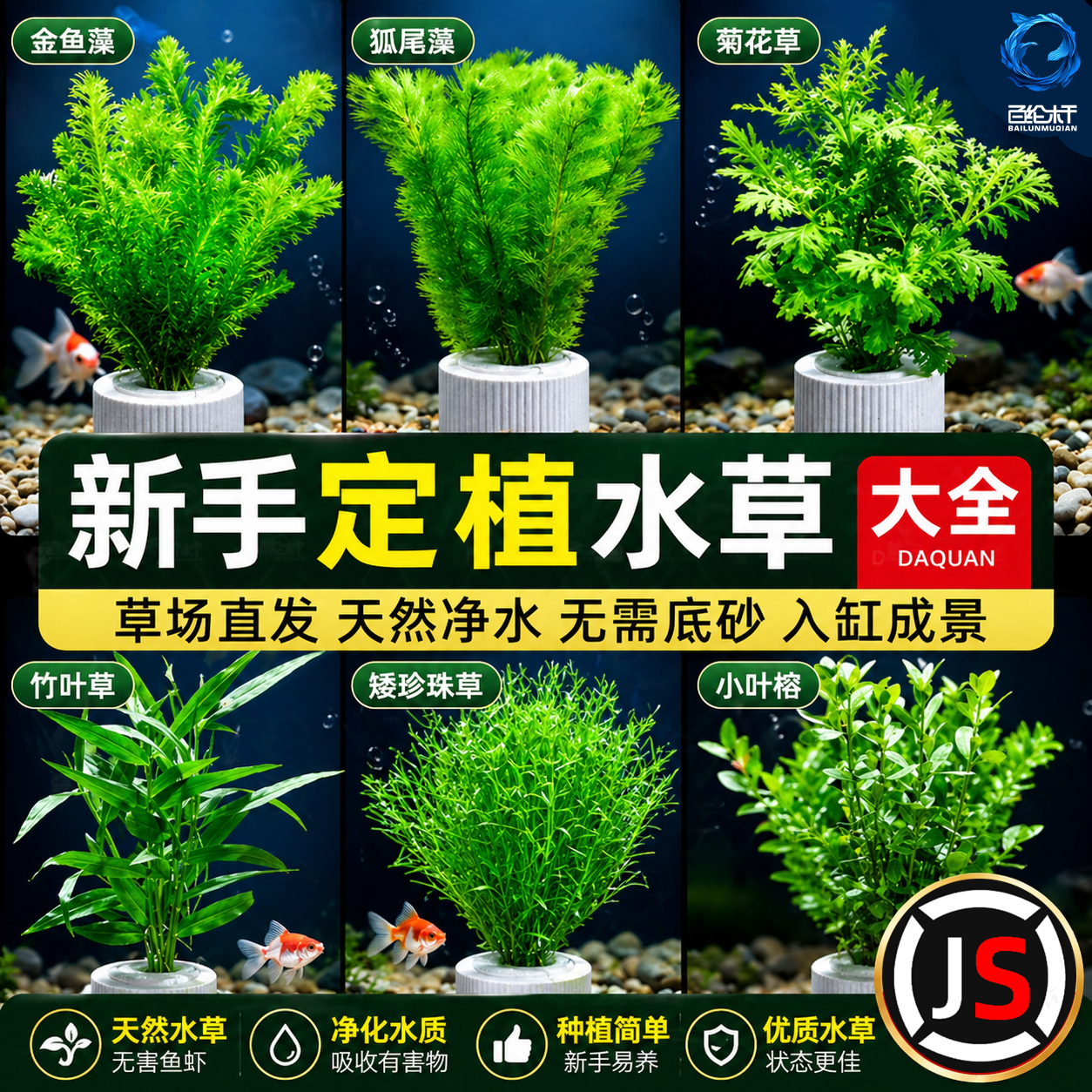 鱼缸水草莫斯真植物水族箱中后景绿菊蜈蚣草阴性造景装饰绿植真草