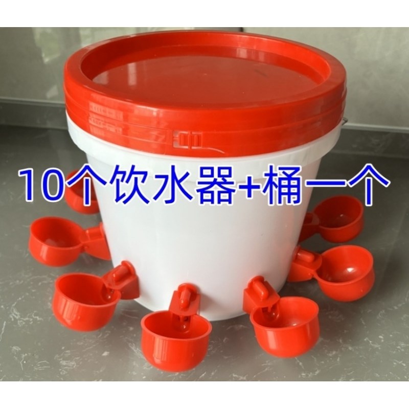 鸡用自动饮水器喂鸡神器家禽鸡鸭鸽子水H碗养鸡水壶小鸡喝水饮水