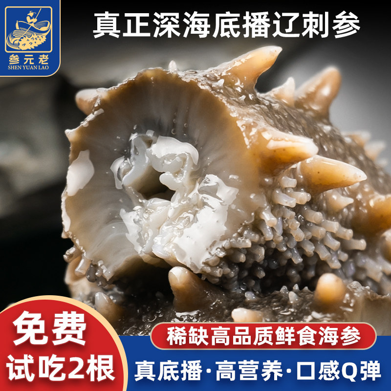 大连鲜食海参深海底播即食海参500g鲜活辽刺参非干参孕妇老人补品