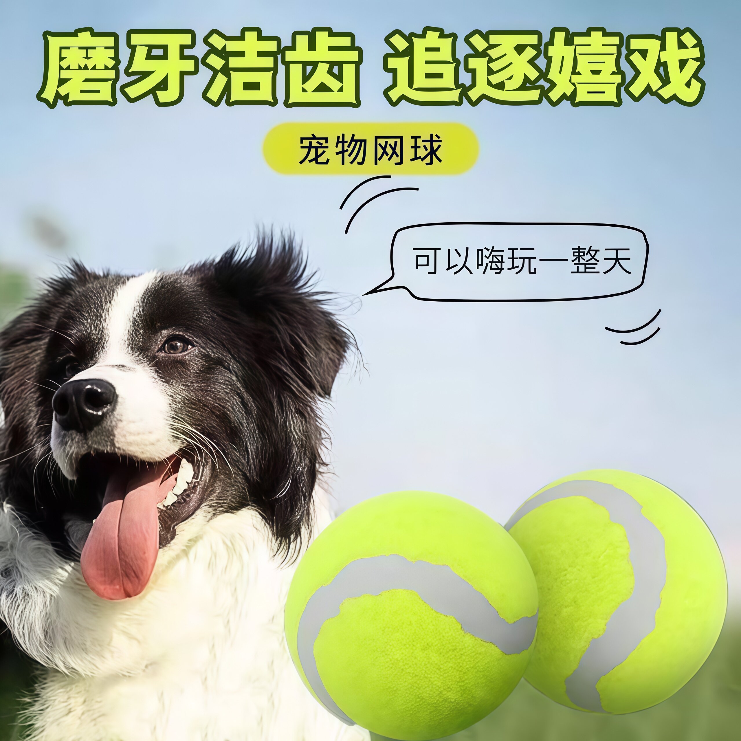 狗狗回弹网球磨牙互动