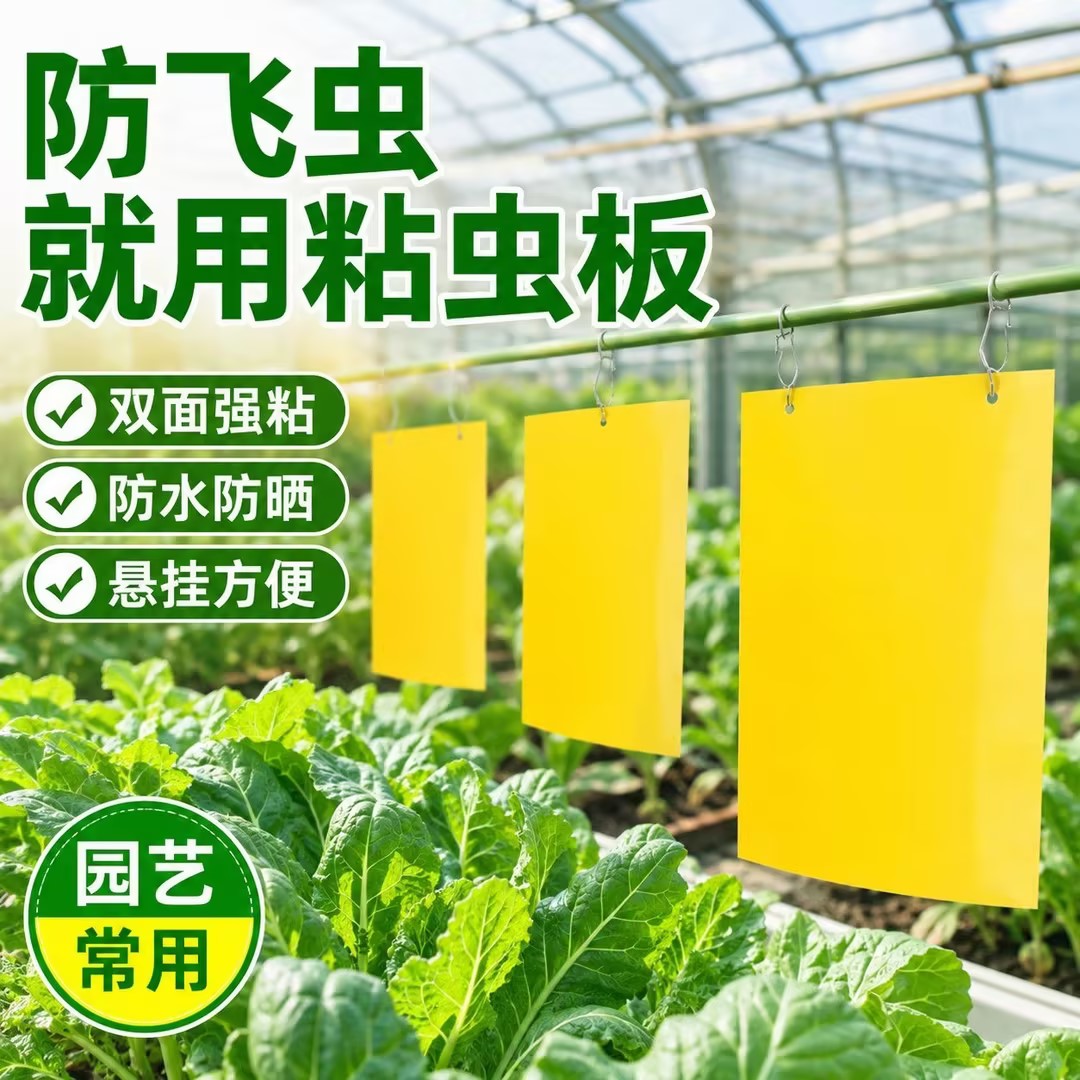 双面黄板粘虫板大棚园诱虫