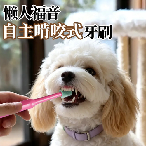 咖家Kaggia狗狗牙刷牙膏猫狗通用