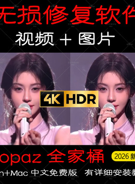 topaz全家桶video+Gigapixel视频图片无损修复软件放大清晰度降躁