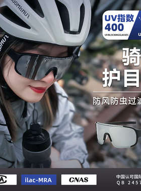 骑行眼镜日夜两用可戴近视套镜防虫男款女专业墨T镜防风护目镜登