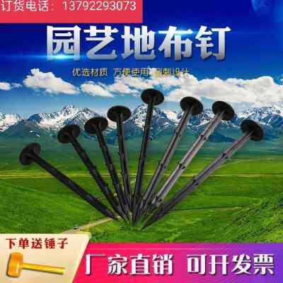 厂促爆品新款塑料地钉加粗D加长果园艺地布钉拉枝固定大棚地膜品,农机/农具/农膜,农用防草地布/除草布,淘宝优惠券,粉丝福利购,淘宝优惠卷