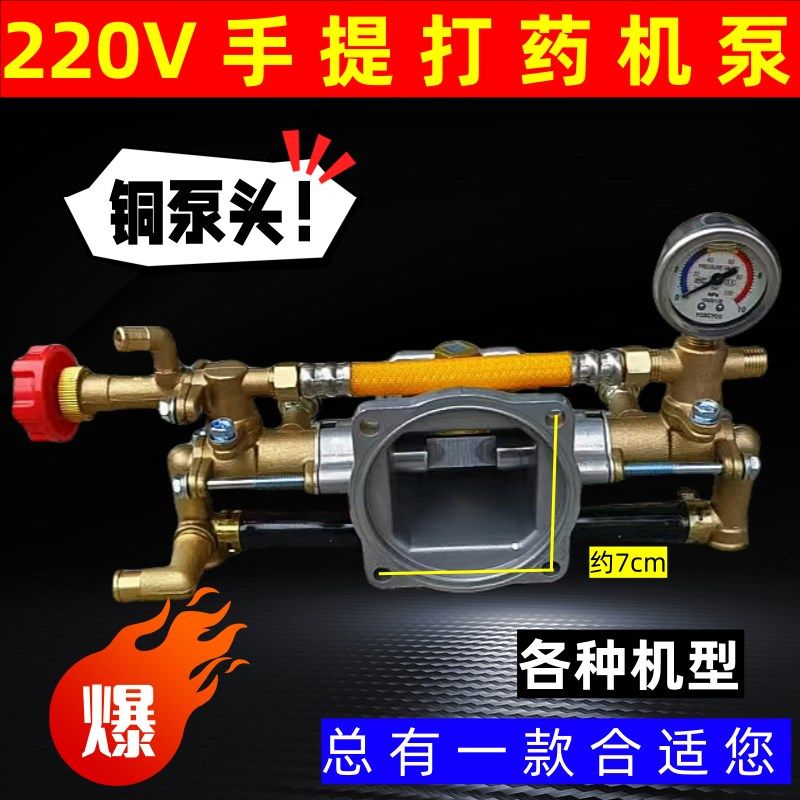 220V手提式18型双缸柱塞水泵头总成1100W电动机打药机高压喷雾器,农机/农具/农膜,打药机/弥雾机,淘宝优惠券,粉丝福利购,淘宝优惠卷