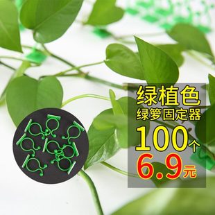 绿萝爬上花神器绿植固定器绿箩家用无痕卡子扣绿枝爬藤杆夹子挂钩