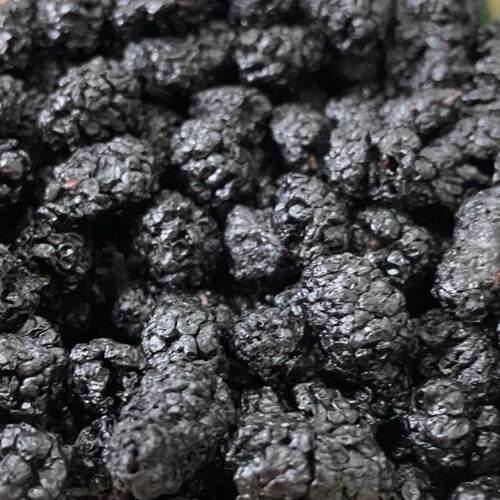 农家晾晒新鲜桑葚干2025年新货干净无沙不粘手即食泡茶泡酒