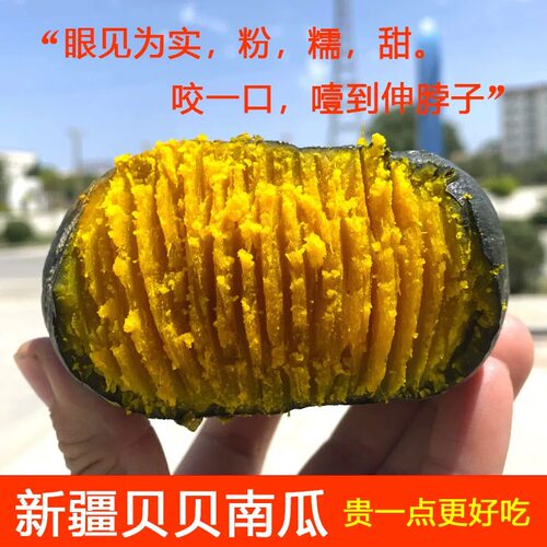新疆贝贝南瓜沙地种植沙湾134今年新瓜