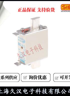 20000西霸熔断器NH000-40/50SKQ/63/80/4100/160A0保险丝