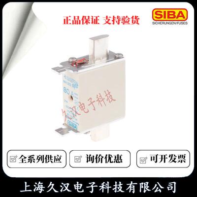 20000西霸熔断器NH000-40/50SKQ/63/80/4100/160A0保险丝