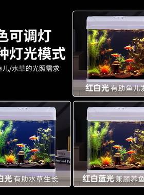 循环过家滤鱼缸客缸厅小型生态玻璃用桌面迷你装造景饰新xkcr款水