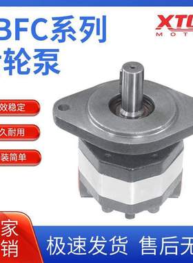 高压液压油泵CBFC转向齿轮油泵CBFC10/12/16/20/25/32/40/50/63