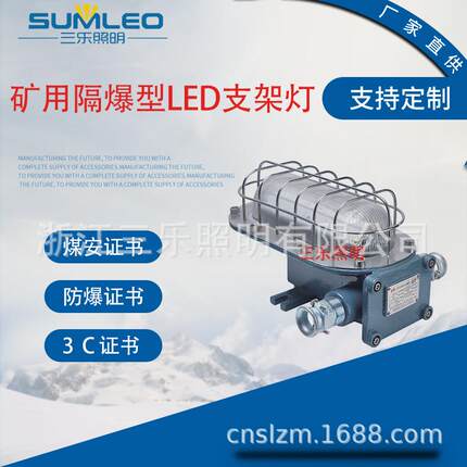 DGC35/127L(A) 矿用隔爆型LED支架灯