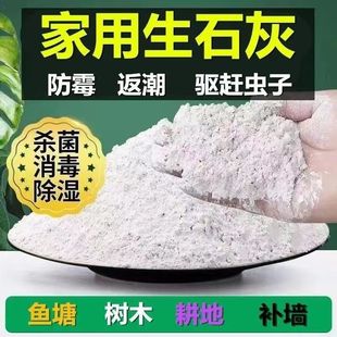 生石灰粉消毒杀菌防虫净化水质改良土壤树木刷白防霉除湿块