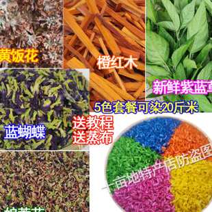新品紫米草紫蓝草广西五色糯米饭植物染料天然红色染W饭毛红兰草