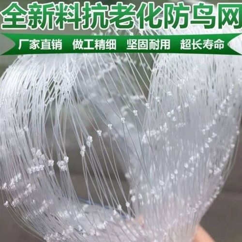 新品防鸟网果园防鸟免邮尼龙网葡萄网网稻谷鱼塘防护Y网天网防护