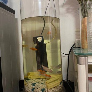 极速高透明亚克力圆柱有机玻璃管圆筒空心F法兰水桶鱼缸350 100