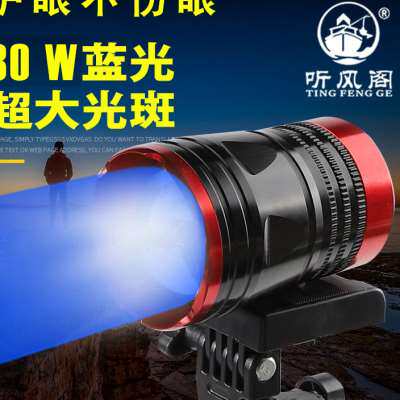 新品听风阁夜钓灯302S 超亮蓝黄光氙气大功率L不伤眼T301S小型钓