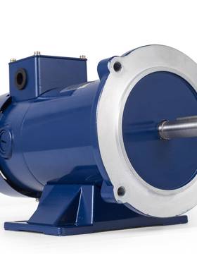 90V 1/4Hp 1750rpm TEFC全封闭 可拆卸安装底座 永磁电机直流电机