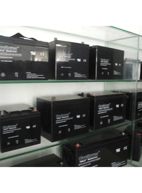 coopower康博尔蓄电池CP1238（12V38AH）铅酸免维护蓄电池