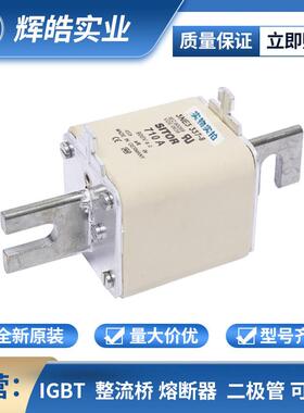 3NA6250-6 3NA6252高压/快速熔断器 保护底座 电子元器件