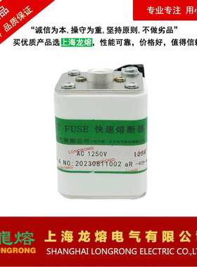 上海龙熔170M3392 1250V 300A 熔断器 直流熔芯 保险丝电子元器件