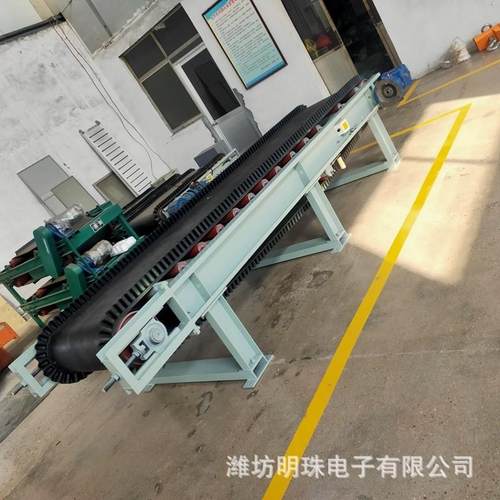 厂家定制电子计量皮带秤 高精度称重给料机 调速定量给料机皮带秤