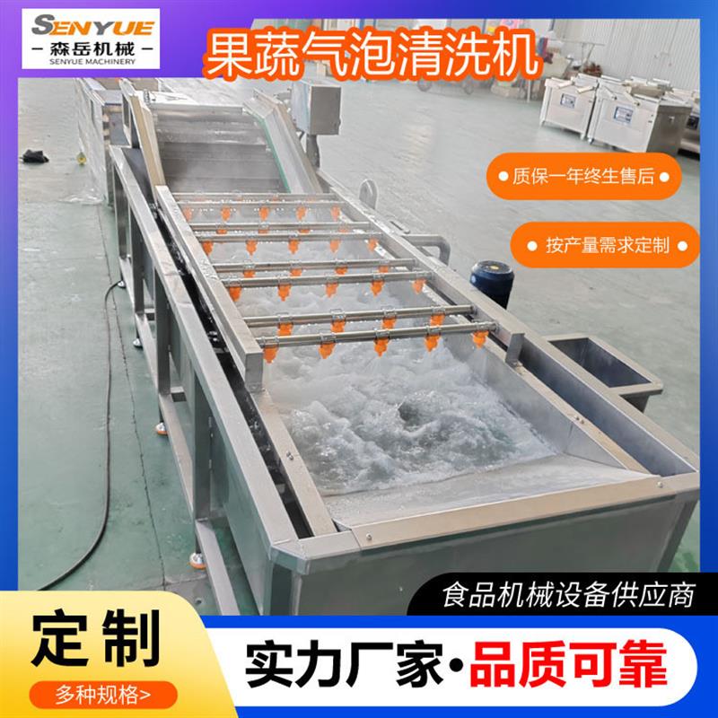 定制山野菜清洗机去泥沙叶菜全自动气泡清洗机蓝莓气泡洗果机厂家