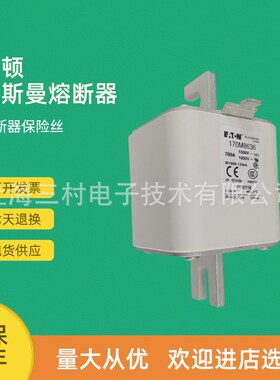 全新原装快速熔断器保险丝170M8631 170M8632 170M8633 170M8634