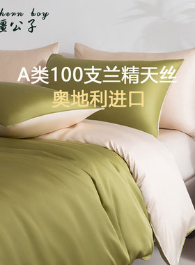A类100支兰精天丝四件套轻奢Tencel奥地利进口床单被套床上三件套