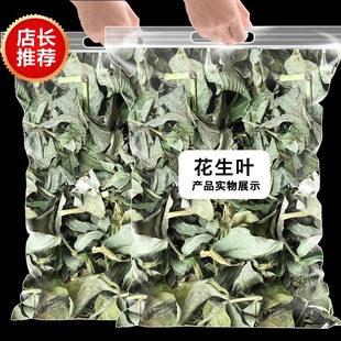 花生叶中药材500克新货助干花生叶子眠安神正品 功效 官方旗舰店