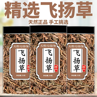 飞扬草新货正品农家自晒节节花中药材大飞扬乳汁草止养通儒飞扬草