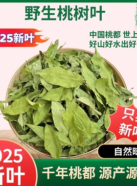 2025野生桃叶桃树叶毛桃叶中药材入药干桃叶人宠洗澡驱痱宠物驱虫