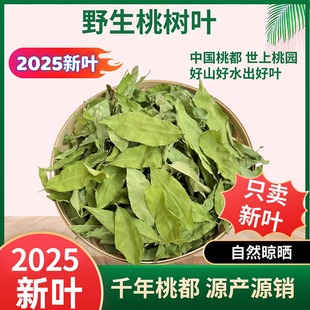 2025野生桃叶桃树叶毛桃叶中药材入药干桃叶人宠洗澡驱痱宠物驱虫