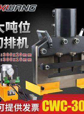 CWC-300S大吨位电动液压机母线铜铝排铁板切排机钢板切断机