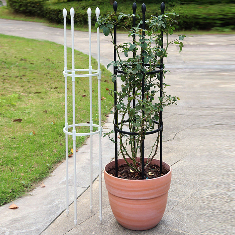 花盆种植藤本月季牵牛花爬藤植物攀爬简易园艺绿植直型11黑色支架
