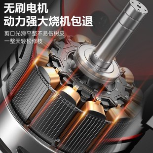 锂电修枝剪刀电动剪刀园林剪果树剪刀电动修枝剪园林大剪刀花艺剪