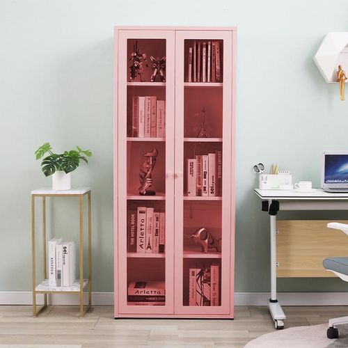 北欧手办展示书柜钢制带门玻璃书架储物柜家用客厅落地置物收纳柜