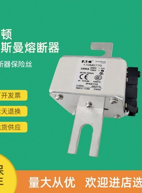 全新快速熔断器保险170M6943t 170M6944 170M6945 170M6946