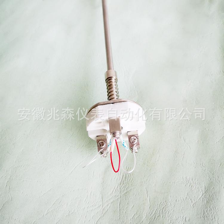 耐震热电阻芯 PT100温度传感器 耐震热电阻芯体