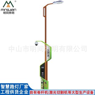 工程定制多功能LED智慧路灯杆公园景区街道投光灯照明6米
