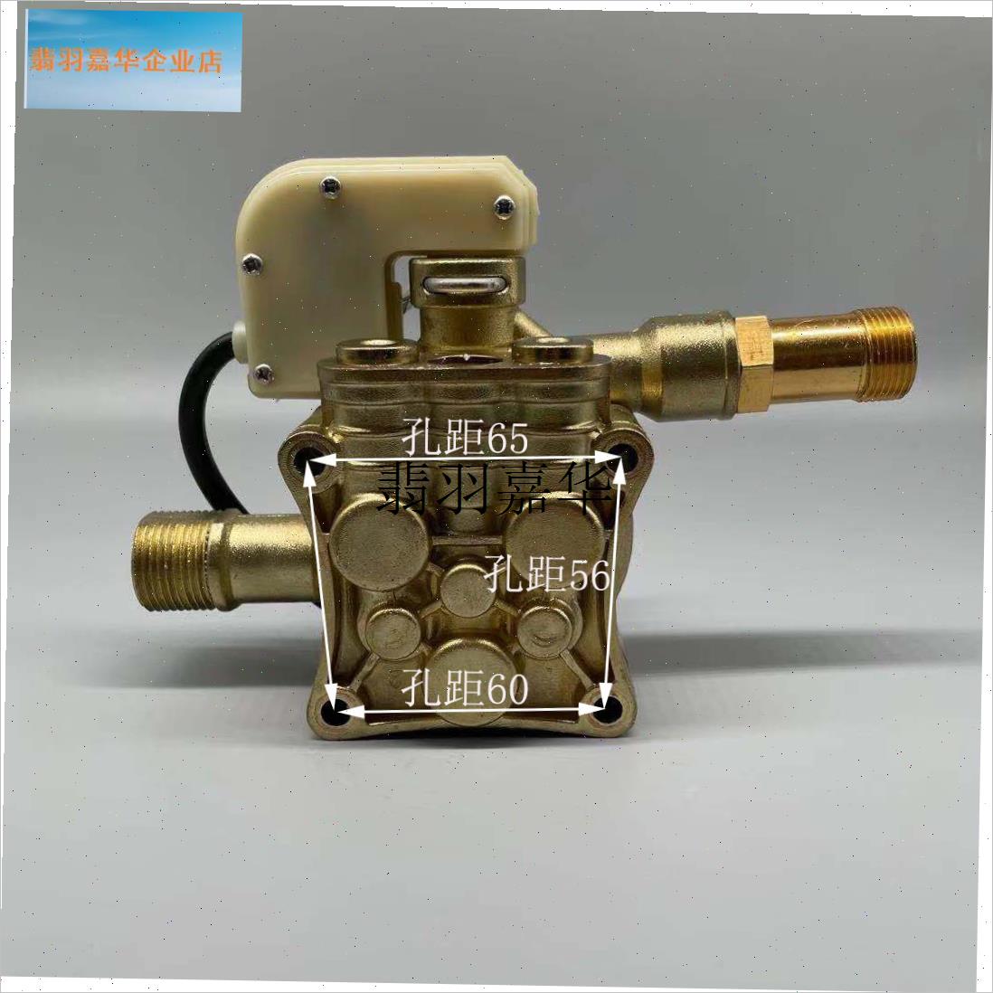 919盘力F16n0贝尔洁1619黑金刚洗车机金色原装泵机头枪管配,