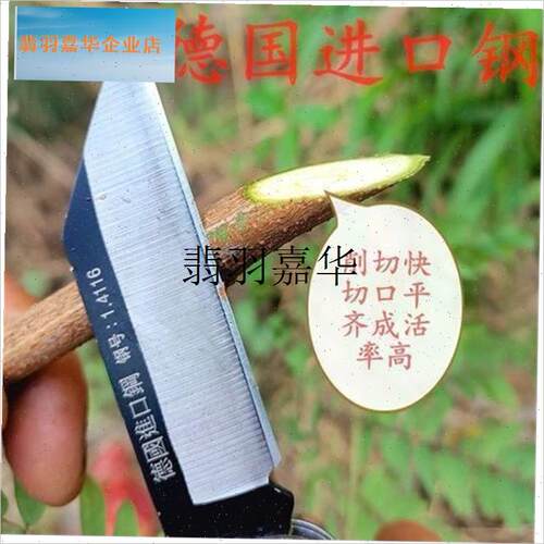 德国进口锋钢果树嫁接专用刀大树月季左手特级工具W专业嫁接刀神,