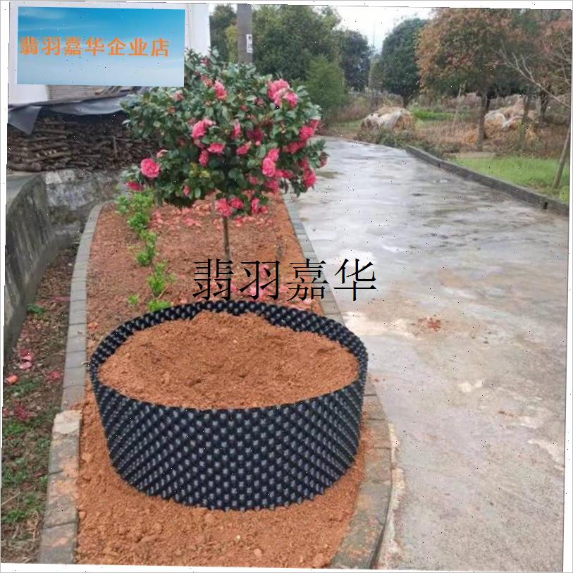 植物控根器厂家直销控根器塑料围槟榔树植树控根V器专用围树板园,