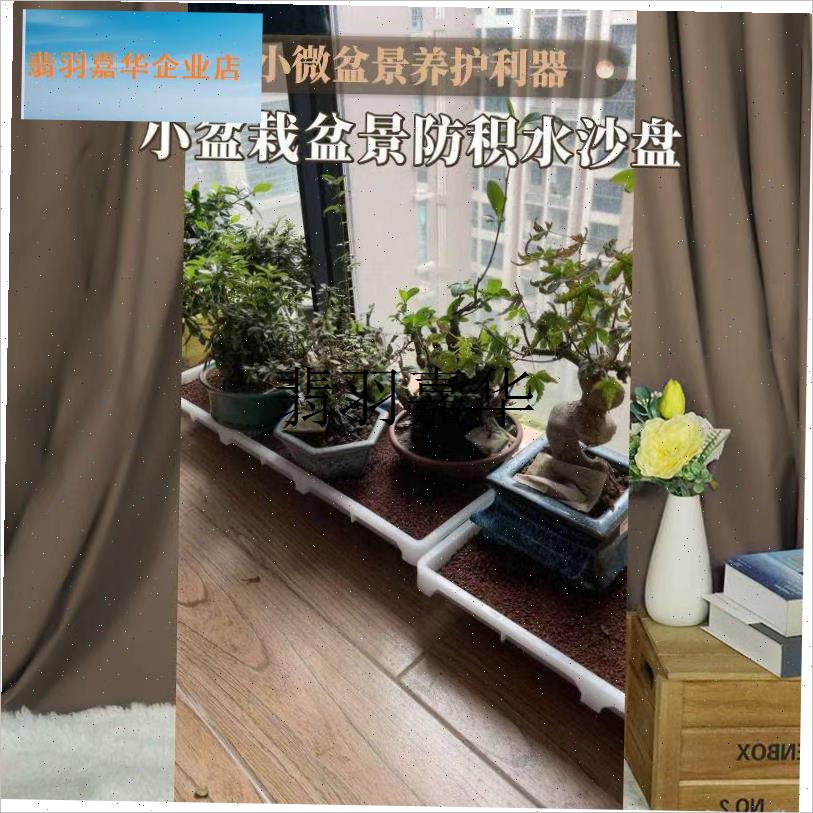 微盆小微盆景专用养护沙盘园艺小盆栽植物保湿沙V床透气孔促生根,