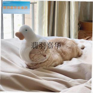 大白鹅猫咪帽子宠物头套可爱搞怪变E装拍照卡通兔子鲷鱼烧狗狗头,