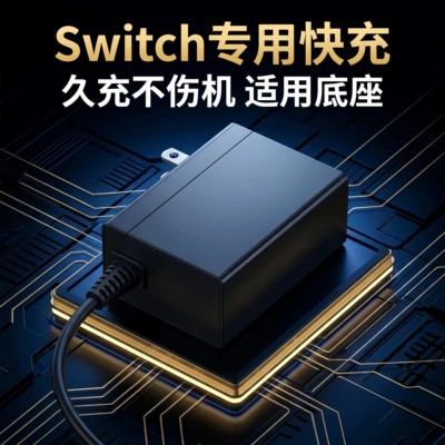 适用任天堂switch充电器源