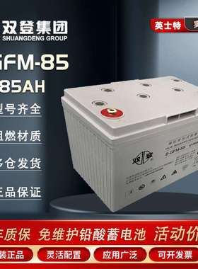 双登蓄电池6-GFM-85 12V85AH EPS直流屏 机房UPS配电室 后备电源
