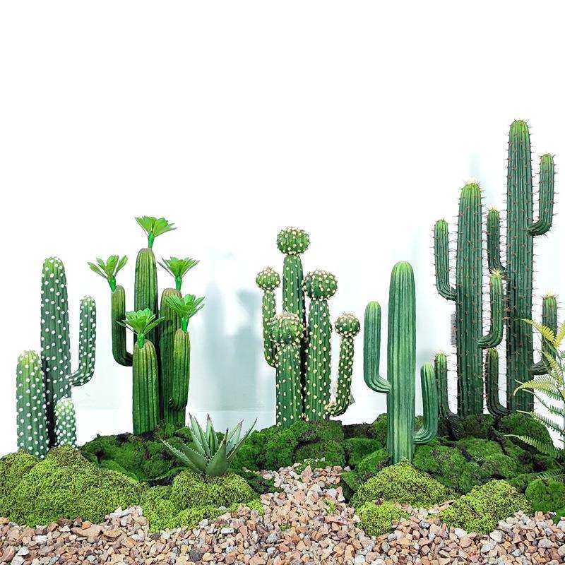北欧仿真植物仙人柱盆栽沙漠热带摄影造景客厅摆件仿真绿植仙人掌,农机/农具/农膜,播种栽苗器/地膜机,淘宝优惠券,粉丝福利购,淘宝优惠卷